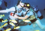 Mauritius- Unterwasserhochzeit - Reisen - Wolfgang Süllau